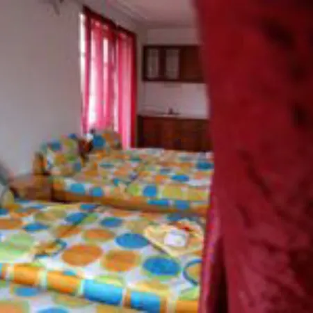 Salmina House Gæstehus Kjustendil